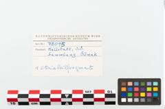 Foto von Steinaxt (NHMW-PRAE-078095)